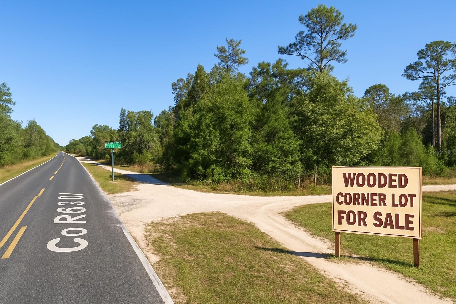 OCALA NATIONAL FOREST CAMPSITES - Land