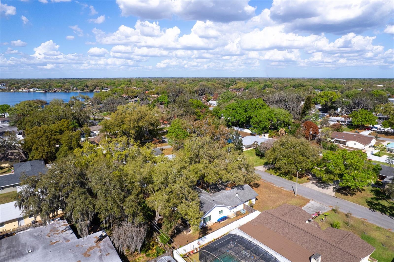 LAKE CONWAY ESTATES - Residential