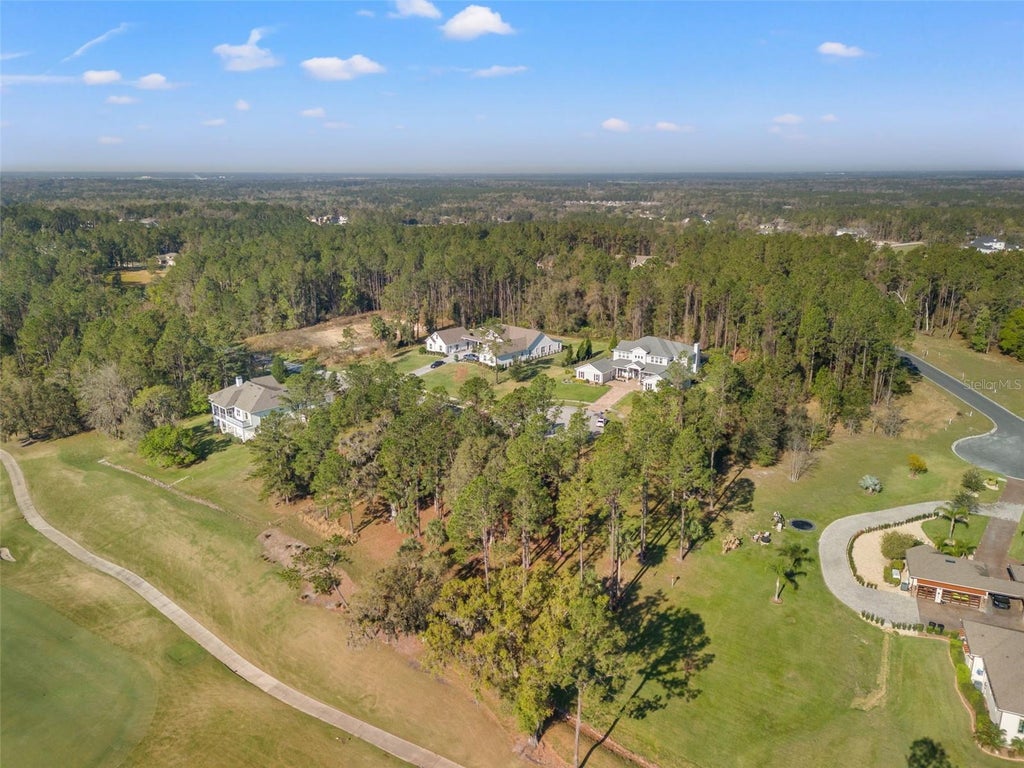 Photo of 20132 English Walnut Place, Brooksville, FL 34601 (MLS # TB8556781)