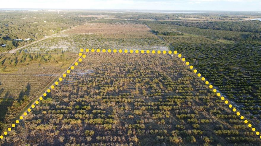 One or more photo(s) has been virtually staged. Unlock the potential of this 48-acre parcel (total 3 parcels), with over 40 acres of high and dry usable land, nestled in the scenic Frostproof area. RC (Rural conservation) zoning. Located just 4 minutes from US Hwy 98, it offers convenient access to key infrastructure and all amenities. A 12-inch well is already in place, adding value and readiness for future plans. Surrounded by natural beauty, this site combines tranquility with strategic positioning in a rapidly expanding market. Enjoy the beautiful Central Florida weather & beauty!