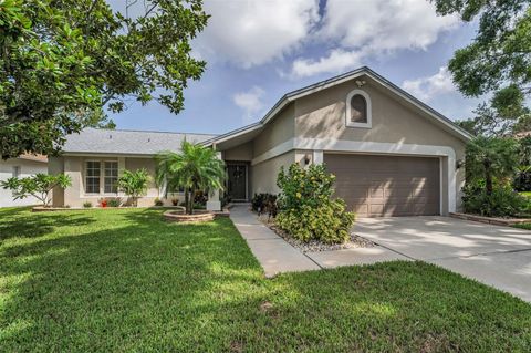 3115 WESTRIDGE DRIVE HOLIDAY FL 34691