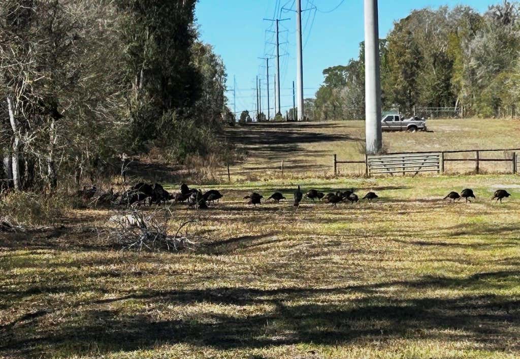 Photo of Tumbleweed Trail, Brooksville, FL 34604 (MLS # TB8535610)