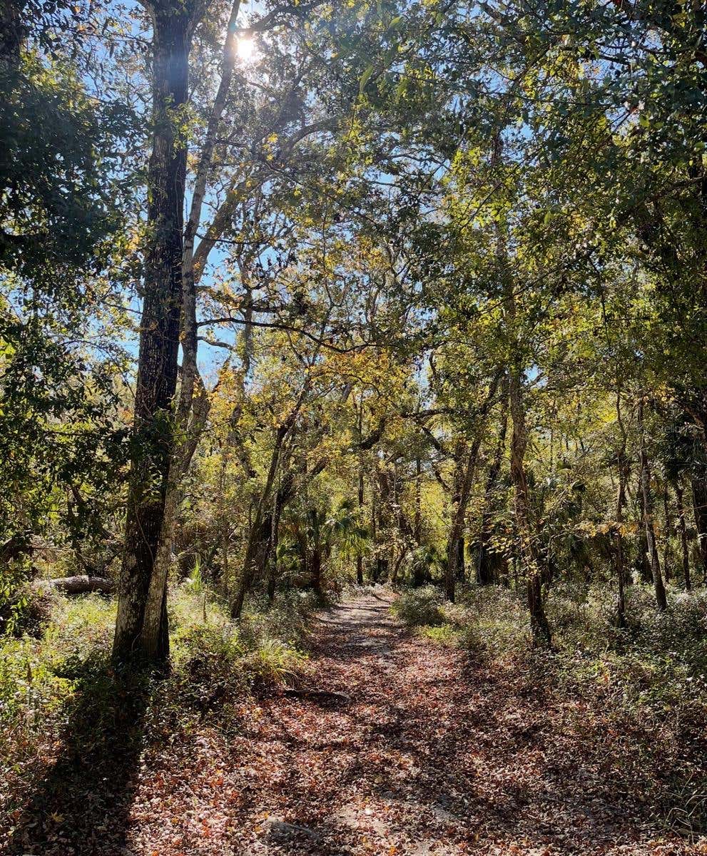 Photo of Tumbleweed Trail, Brooksville, FL 34604 (MLS # TB8535610)
