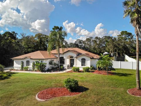 Photo of 12295 Comstock Street, Spring Hill, FL 34609 (MLS # W7879399)