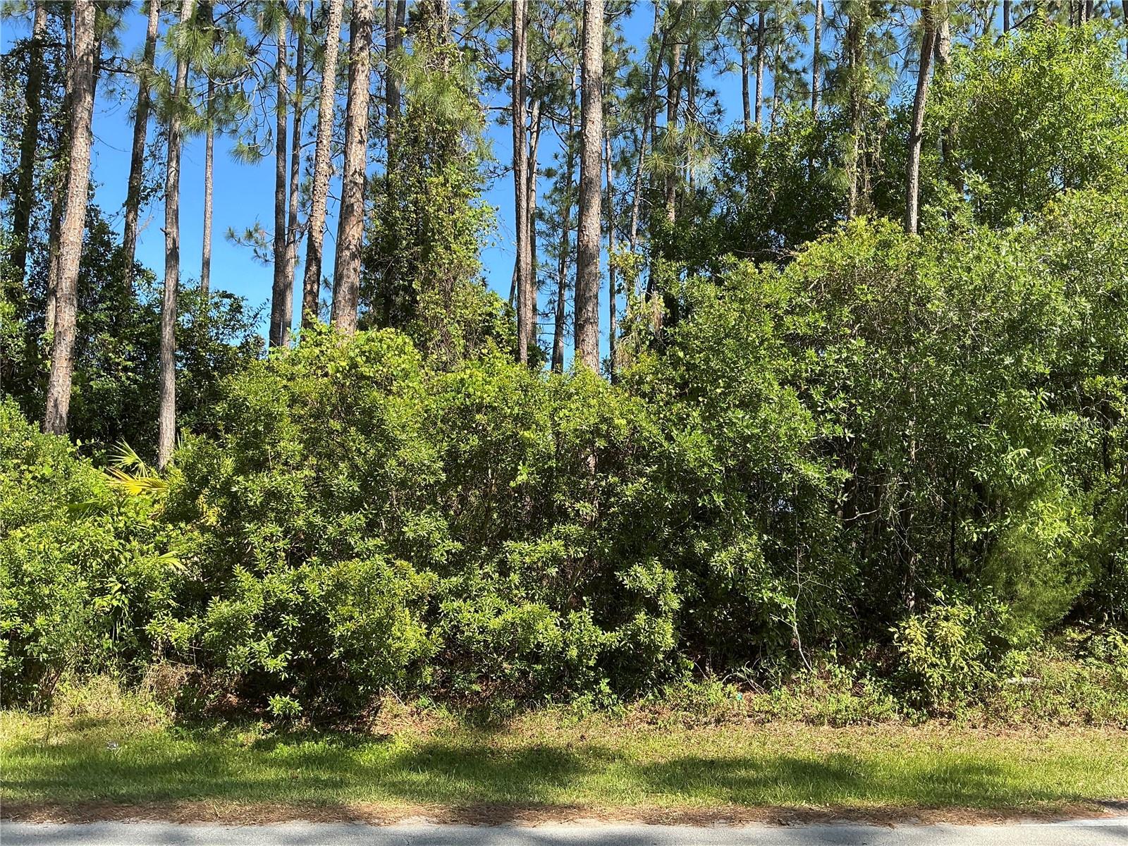Situated in the heart of Palm Coast, this 0.23 residential lot measures 80 by 125 feet and is located outside the flood zone with no wetlands and no endangered species. Seller financing, Low down payments, flexible terms up to 6 years, and fixed monthly payments. Quick approval with no banks. Build equity you can later use to build your home with us. Try our payment calculator online or call us to learn more about our financing options. Palm Coast is centrally located, just over an hour from Jacksonville (north) and Orlando (south). Just a short drive from desirable Flagler Beach. Local attractions include the Halifax Plantation Golf Club, Washington Oaks State Park, and the Fort Matanzas National Monument. Historic St. Augustine is also nearby. Palm Coast is exploding with development but inundated with nature preserves and golf resorts. Golf lovers can golf right on the beach at the desirable Hammock Beach Resort. Nature lovers can bike or hike the Lehigh Greenway trail, (among many others) a former railroad corridor composed of 195 acres of preserve inside city limits. Palm Coast does not have HOA or CDD fees! All utilities are accessible!