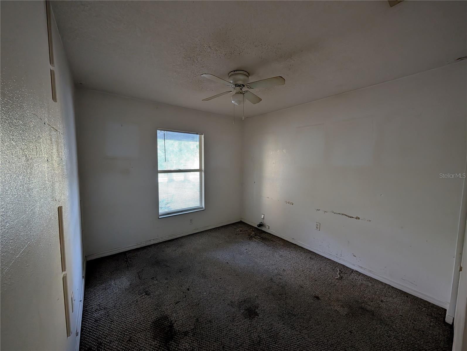 3510 CENTRAL AVENUE, SARASOTA, FL, 34234 4 3510 CENTRAL AVENUE