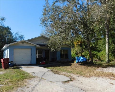 A home in PLANT CITY