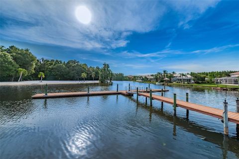 A home in TAMPA