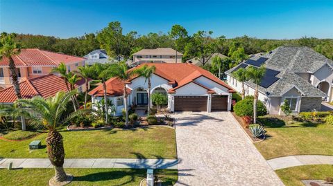 A home in TAMPA