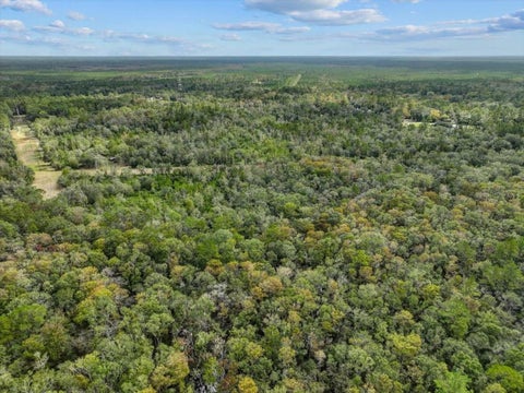 Tiny photo for 310 N Otter Creek Avenue, Bronson, FL 32621 (MLS # GC526307)