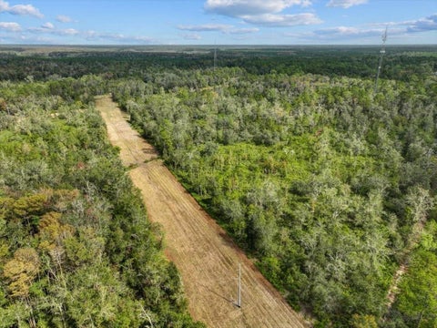 Tiny photo for 310 N Otter Creek Avenue, Bronson, FL 32621 (MLS # GC526307)