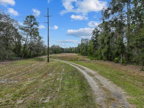 Tiny photo for 310 N Otter Creek Avenue, Bronson, FL 32621 (MLS # GC526307)