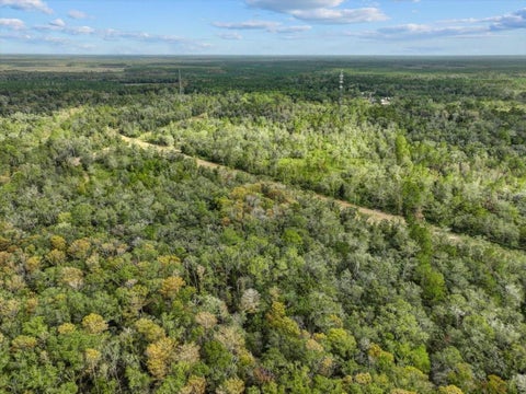 Tiny photo for 310 N Otter Creek Avenue, Bronson, FL 32621 (MLS # GC526307)