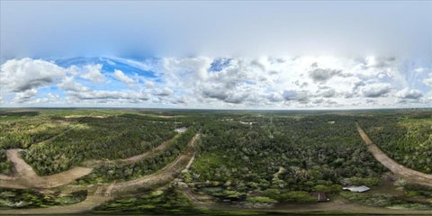 Tiny photo for 310 N Otter Creek Avenue, Bronson, FL 32621 (MLS # GC526307)