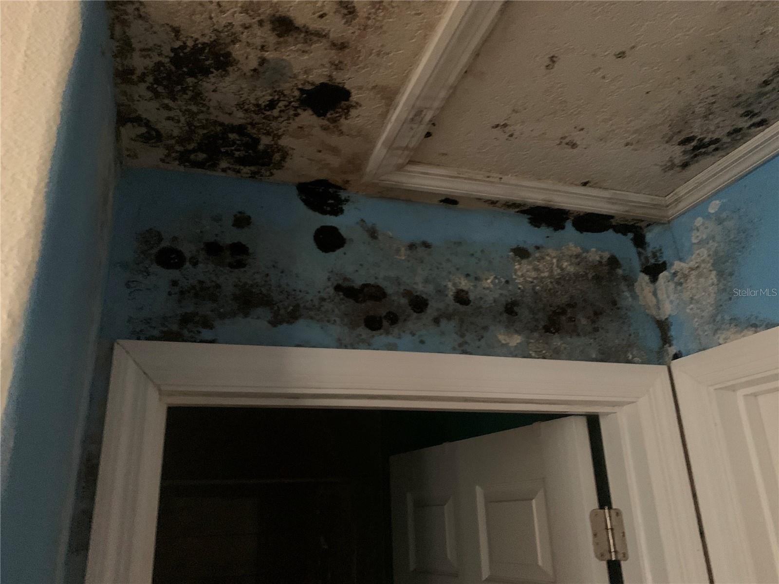 INVERNESS HIGHLANDS WEST - Residential