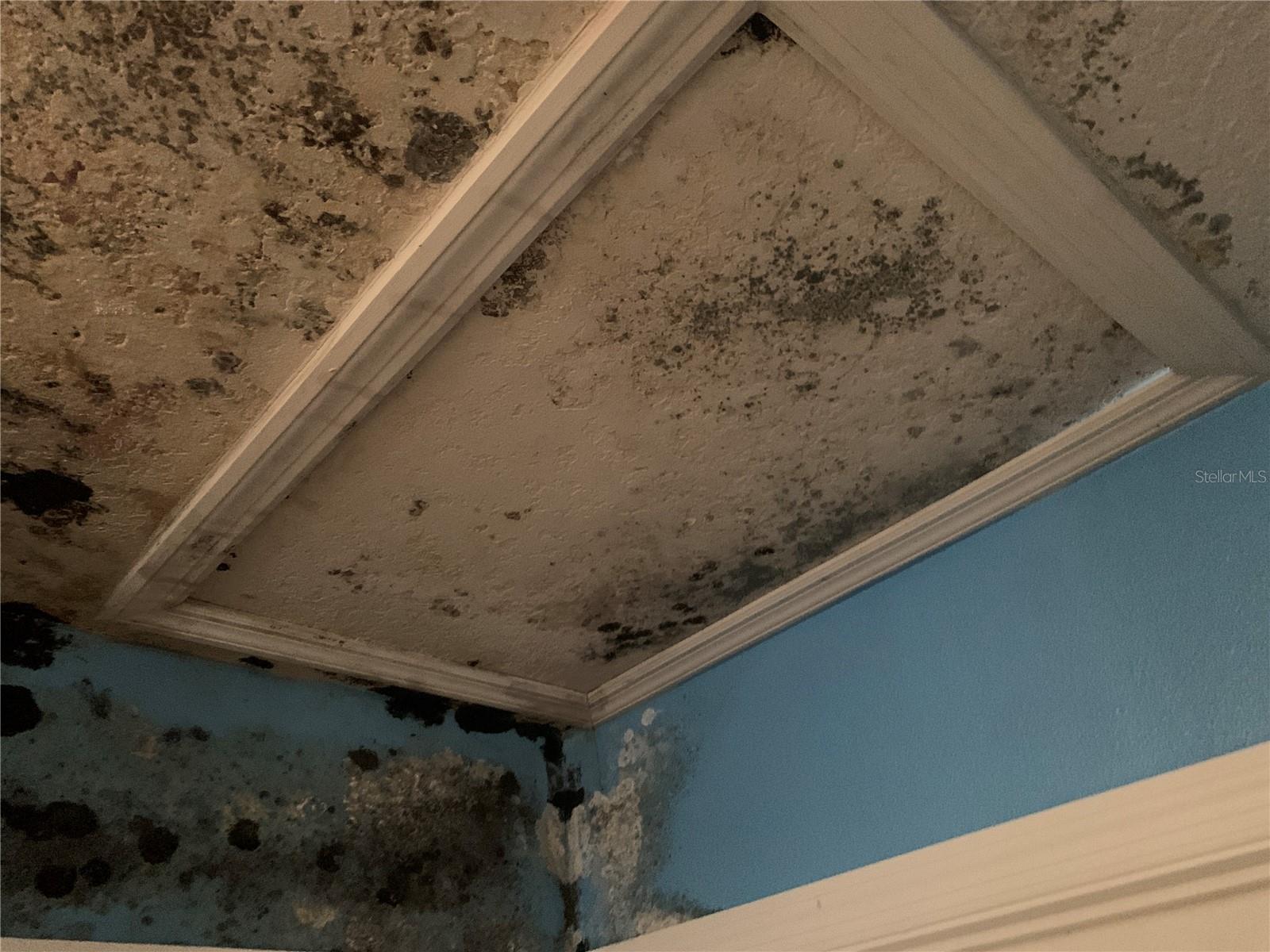 INVERNESS HIGHLANDS WEST - Residential