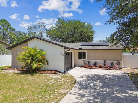 13835 PATHFINDER DRIVE TAMPA FL 33625
