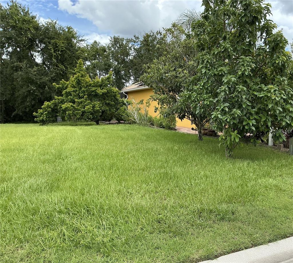 Photo of 21049 Los Cabos Court, Land O Lakes, FL 34637 (MLS # TB8423382)