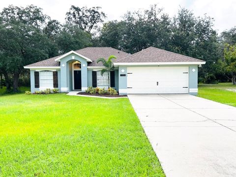 Photo of 3110 Hallow Drive, Deltona, FL 32738 (MLS # O6387004)