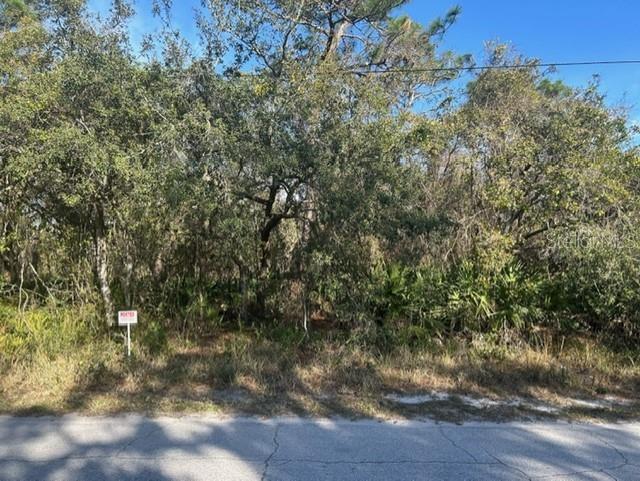 LOCATION, LOCATION, LOCATION!! COUNTRY LIVING 1.21 ACRES OF BEAUTIFUL HIGH AND DRY VACANT LAND LOCATED IN HIGHLY SOUGHT AFTER TANGLEWOOD AREA. PROPERTY IS LESS THAN A MILE FROM STARKEY PARK. CONVENIENT TO SHOPPING, RESTAURANTS.