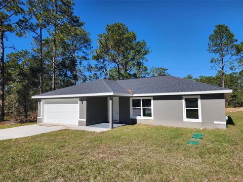 Photo of 24145 NW Foxglove Lane, Dunnellon, FL 34431 (MLS # OM713433)