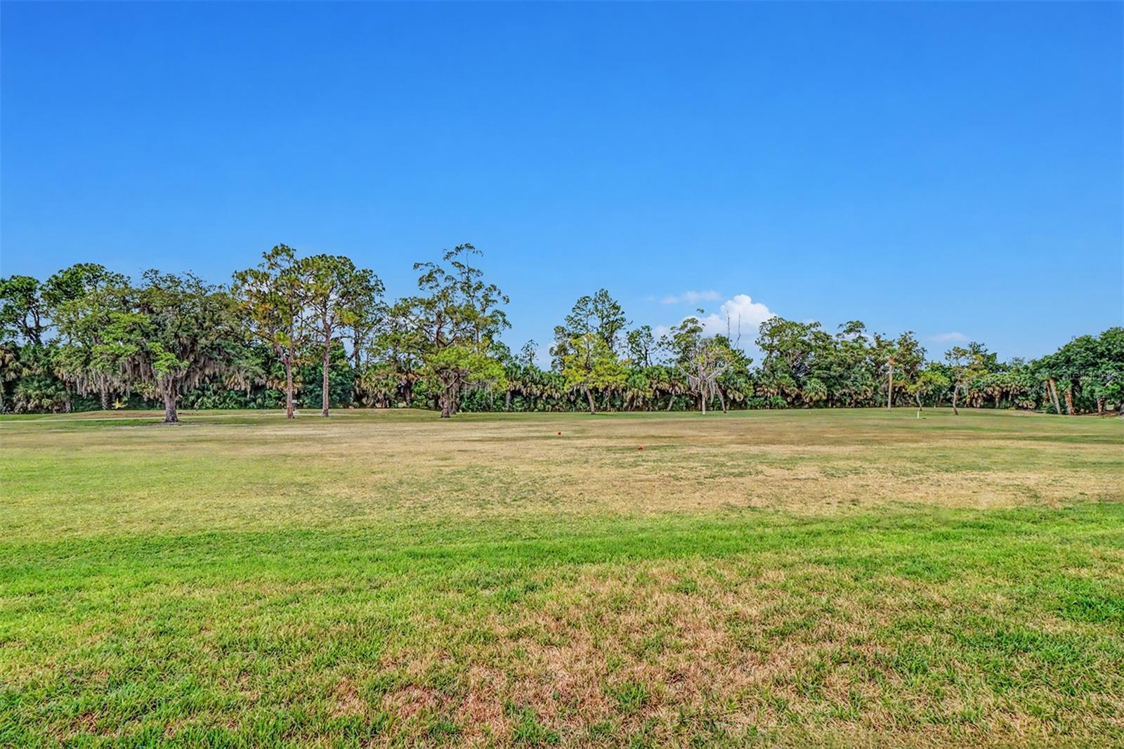 SEVEN SPGS VILLAS CONDO - Residential
