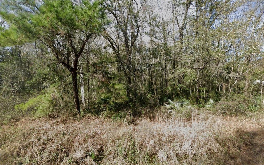 Photo of 4572 Division Street, Hastings, FL 32145 (MLS # TB8443309)