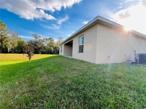 A home in KISSIMMEE