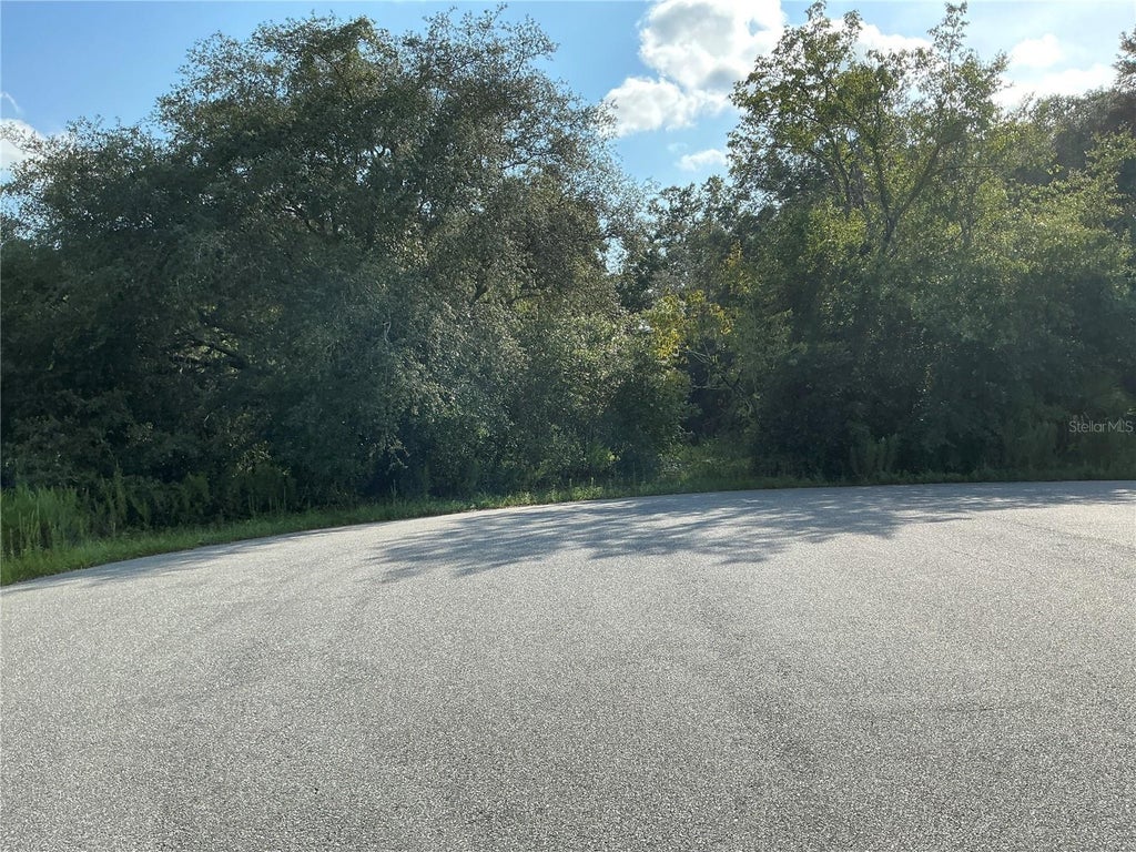 Photo of 28 Aspen Dr Place, Ocala, FL 34480 (MLS # OM730800)