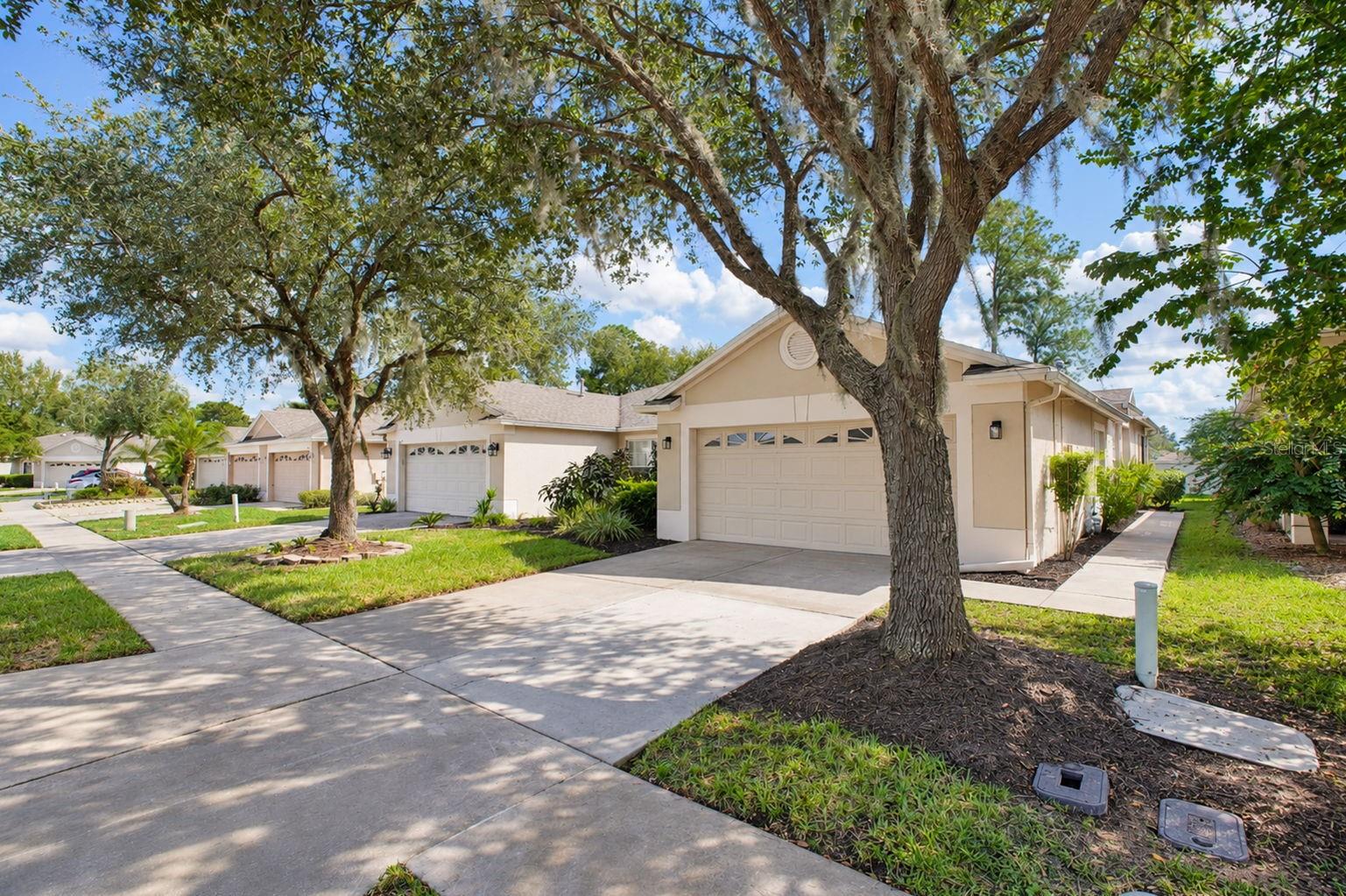 31421 SHAKER CIRCLE