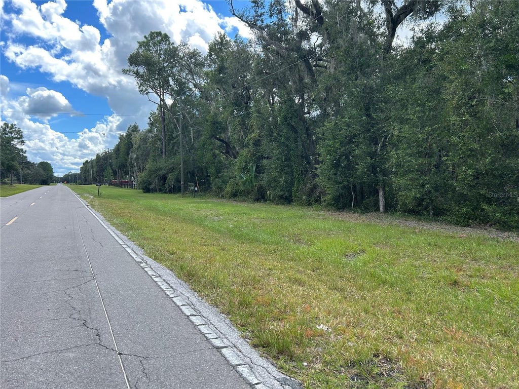 Photo of Tbd Cr 337, Morriston, FL 32668 (MLS # OM732738)