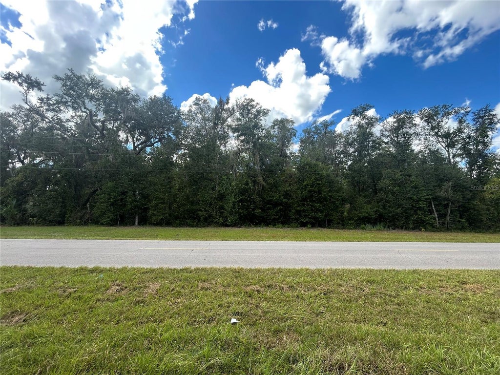 Photo of Tbd Cr 337, Morriston, FL 32668 (MLS # OM732738)