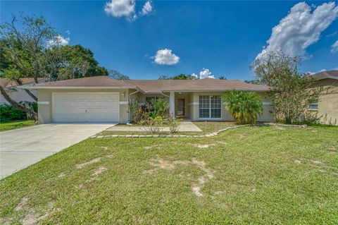 A home in RIVERVIEW