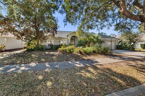 Photo of 16142 Magnolia Hill Street, Clermont, FL 34714 (MLS # V4947199)