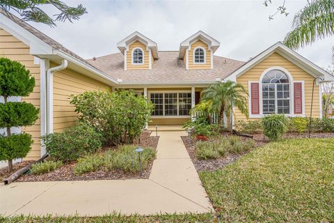 A home in SAINT CLOUD