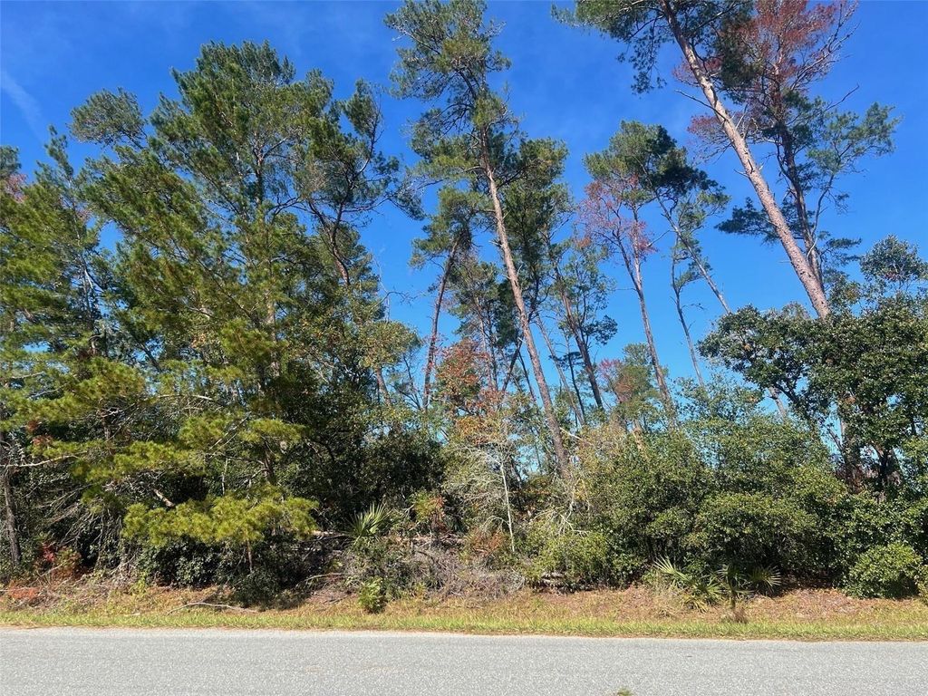 Photo of 112th St, Ocala, FL 34476 (MLS # TB8447638)