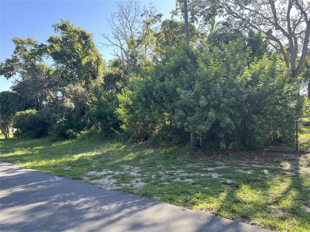 Photo of 192 Balboa Avenue, Spring Hill, FL 34606 (MLS # TB8417812)