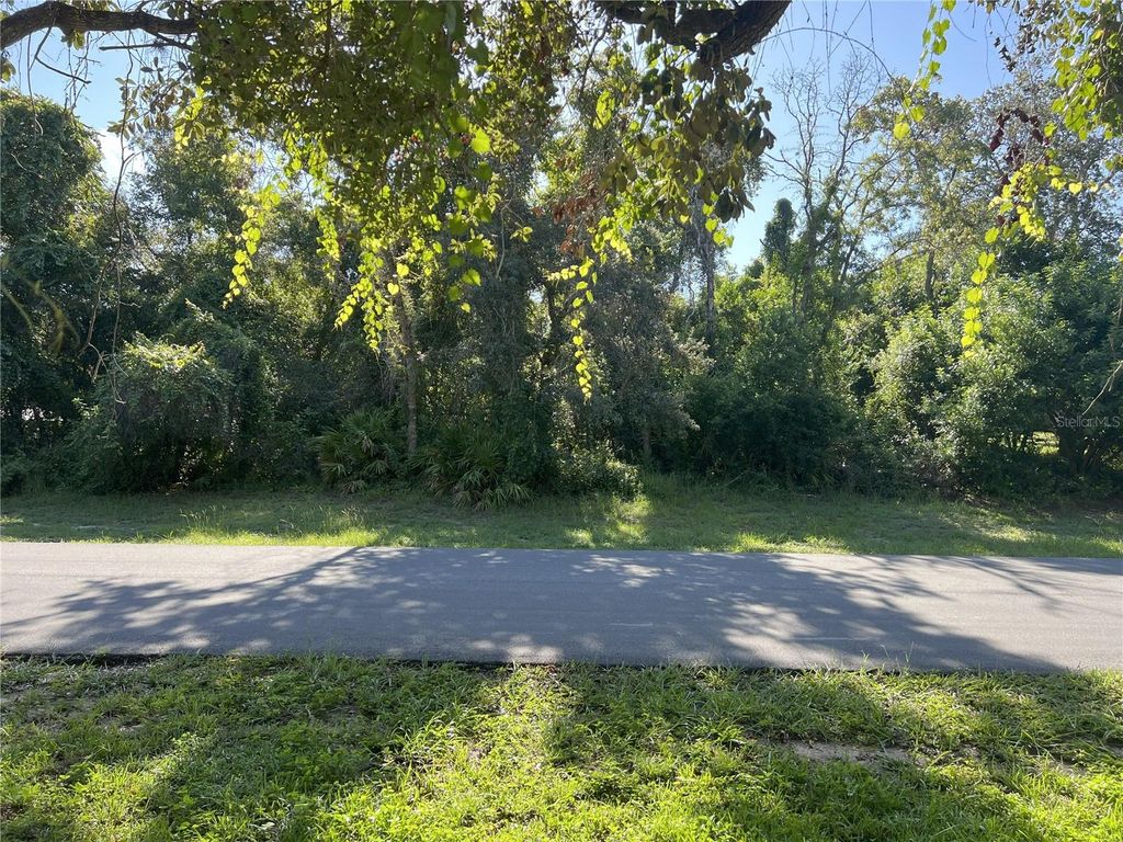 Photo of 192 Balboa Avenue, Spring Hill, FL 34606 (MLS # TB8417812)