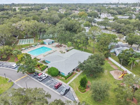 A home in PALM HARBOR