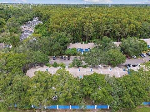 A home in PALM HARBOR