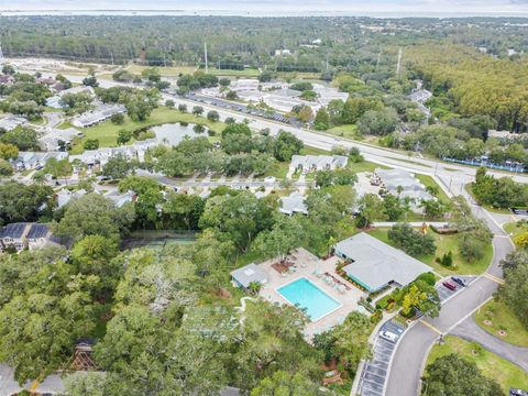 A home in PALM HARBOR