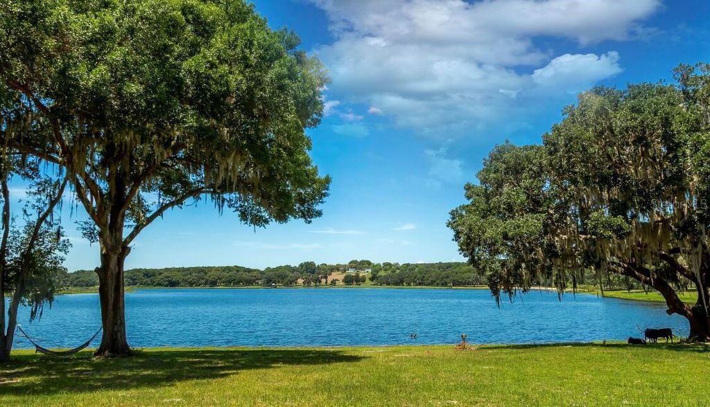 Photo of 34710 Clayton Road #14, Dade City, FL 33523 (MLS # O6406056)