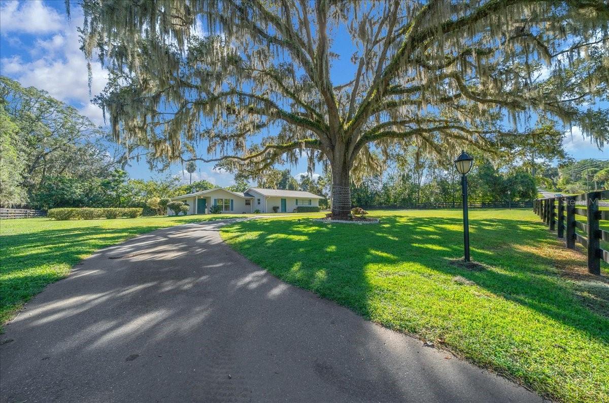 LAKE LOUISE ESTATE - Residential