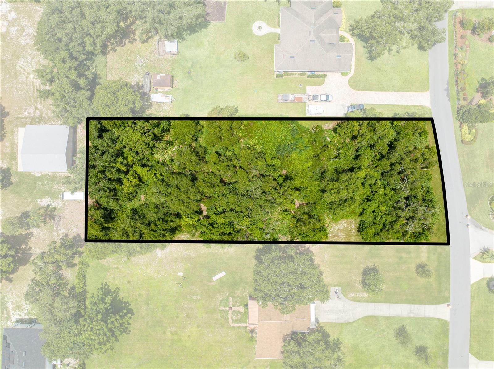 CITRUS OAK
