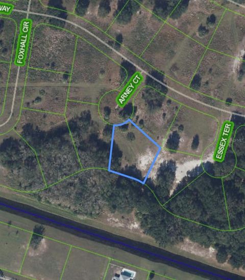 1009 ARNEY COURT SEBRING FL 33876