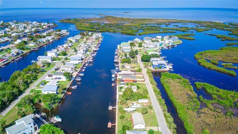 A home in HERNANDO BEACH