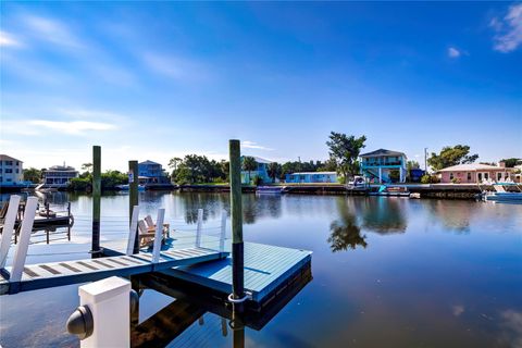 A home in HERNANDO BEACH