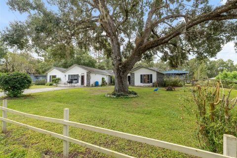 Photo of 18160 Spangler Avenue, Brooksville, FL 34604 (MLS # W7879614)