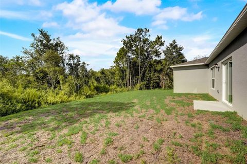 A home in KISSIMMEE