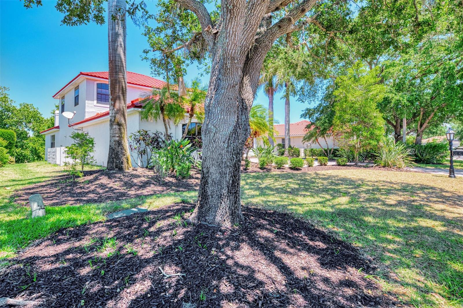 THREE OAKS - Residential